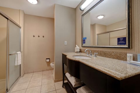 Room, 1 King Bed, Non Smoking | Bathroom shower