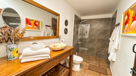 Superior Twin Room, 2 Double Beds, Ensuite, Courtyard View | Bathroom | Shower, hydromassage showerhead, hair dryer, towels