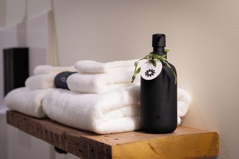 Hair dryer, towels, soap, shampoo