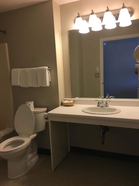 Combined shower/tub, free toiletries, towels