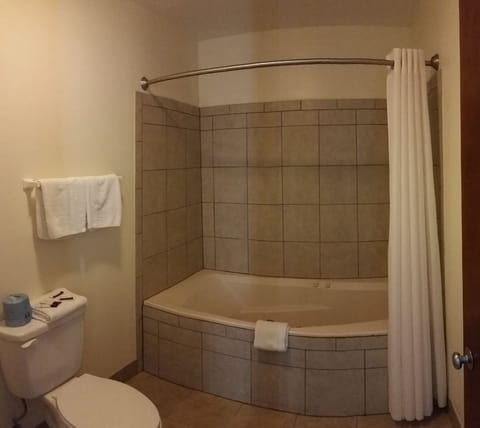 Combined shower/tub, hair dryer, towels