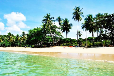 On the beach, beach bar, motor boating, fishing