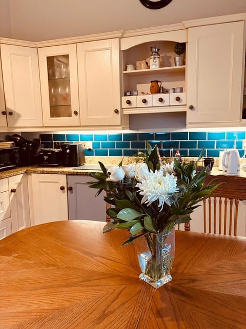 Fridge, microwave, stovetop, electric kettle