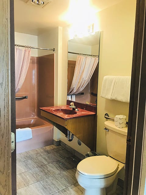 Combined shower/tub, free toiletries, hair dryer, towels