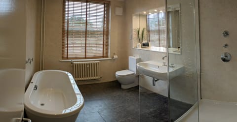 Deluxe Suite | Bathroom | Shower, rainfall showerhead, free toiletries, hair dryer