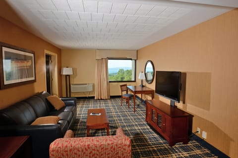 Premium Suite, 1 King Bed with Sofa bed, Non Smoking | Living area | 42-inch flat-screen TV with cable channels, TV