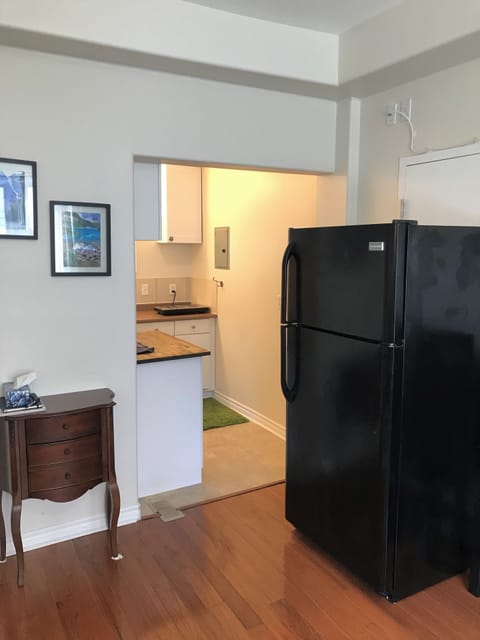 Falls Apartment | Private kitchen | Fridge