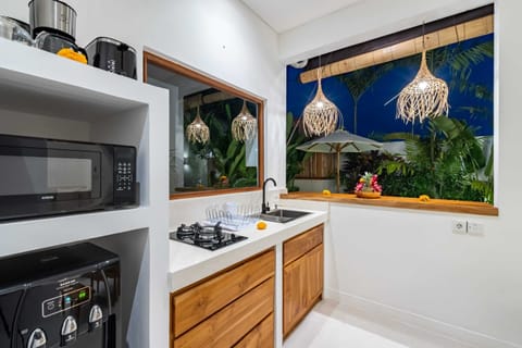 Basic Villa | Private kitchen | Fridge, microwave, stovetop, electric kettle