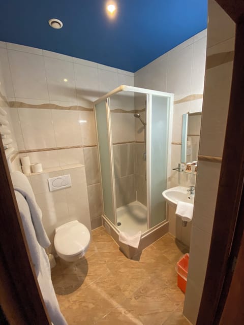 Single Room | Bathroom | Free toiletries, hair dryer, towels