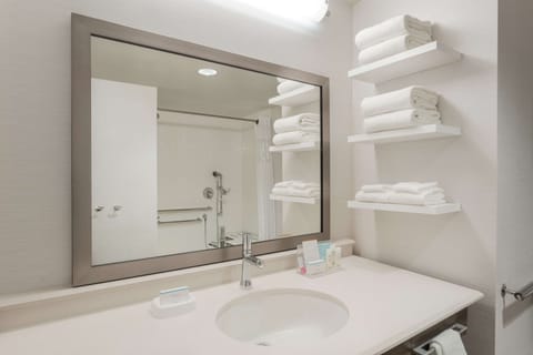 King, Studio, Accessible | Bathroom shower