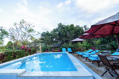 Outdoor pool, pool umbrellas, sun loungers