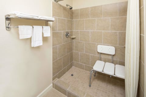 Room, 1 King Bed, Accessible, Non Smoking | Bathroom shower