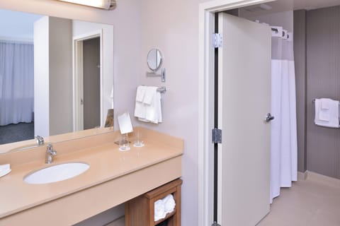 Suite, 1 Bedroom | Bathroom | Shower, free toiletries, hair dryer, towels