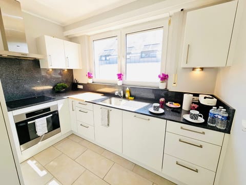 Stovetop, dishwasher, cookware/dishes/utensils, paper towels