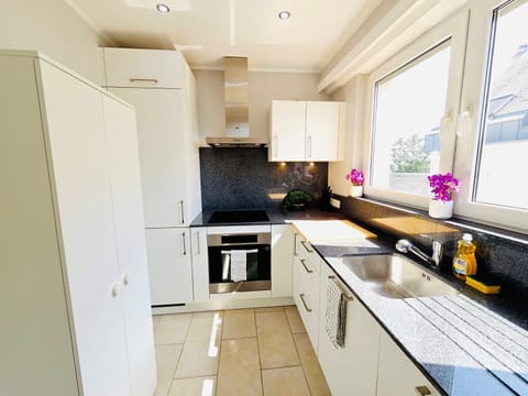 Stovetop, dishwasher, cookware/dishes/utensils, paper towels