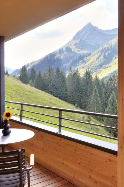 Alpenstolz 3.05 | Terrace/patio