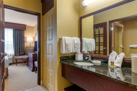 Suite, 1 Queen Bed, Non Smoking, Refrigerator & Microwave (Living Room;with Sofabed) | Bathroom | Free toiletries, hair dryer, towels, soap