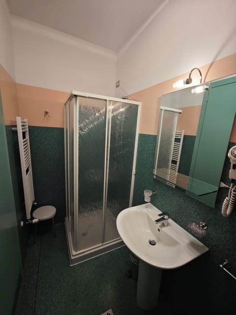 Double or Twin Room | Bathroom | Shower, hair dryer, towels, soap