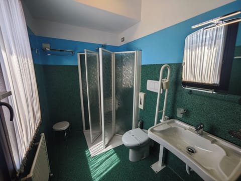Double or Twin Room | Bathroom | Shower, hair dryer, towels, soap