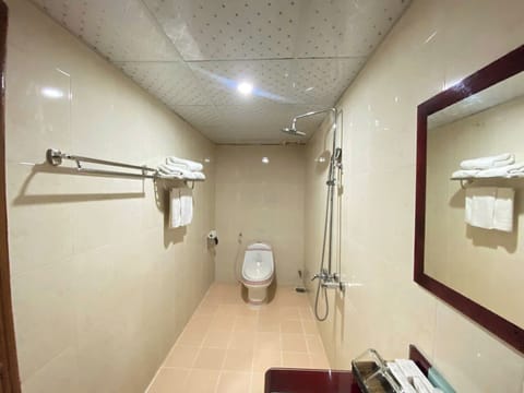 Family Triple Room | Bathroom | Shower, hydromassage showerhead, free toiletries, hair dryer