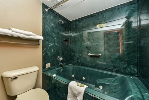 Combined shower/tub, free toiletries, hair dryer, towels