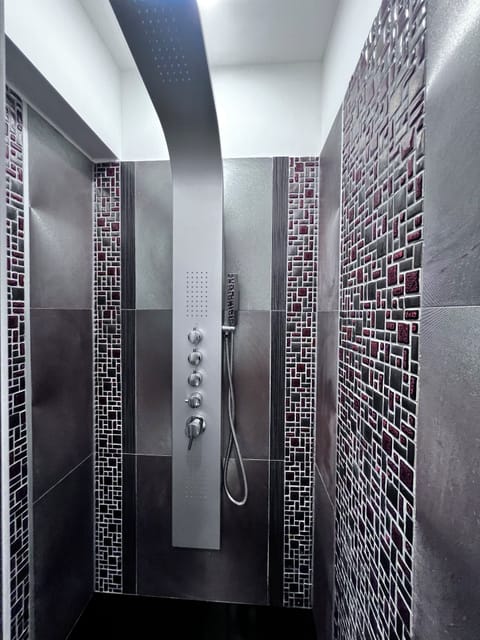 Shower, hair dryer, towels, shampoo