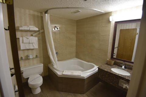 Combined shower/tub, free toiletries, hair dryer, towels