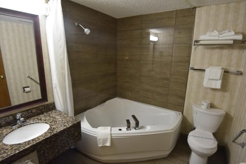 Combined shower/tub, free toiletries, hair dryer, towels