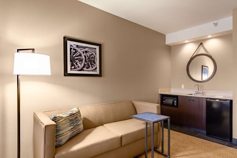 One king studio suite nonsmoking | Living area | 55-inch TV with cable channels, video-game console, first-run movies