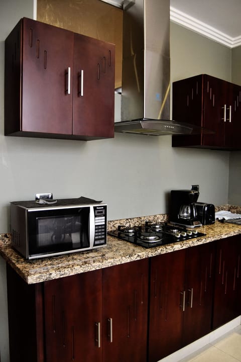 Deluxe Apartment, Mountain View | Private kitchen | Microwave, electric kettle