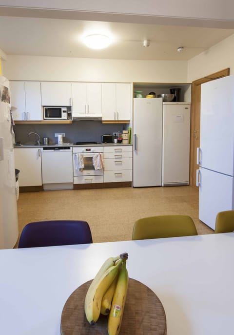 Basic Room, 2 Twin Beds, Shared Bathroom | Shared kitchen | Full-size fridge, microwave, oven, stovetop