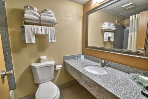 Combined shower/tub, free toiletries, hair dryer, towels