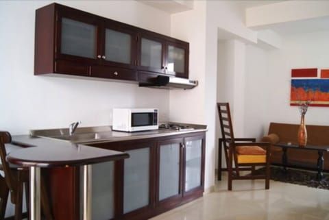 Penthouse | Private kitchen | Fridge, microwave, stovetop, dishwasher