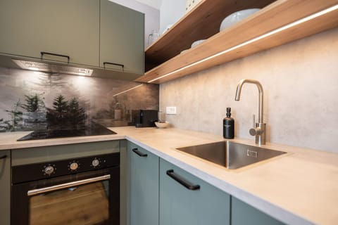 Apartment | 1 bedroom, Internet