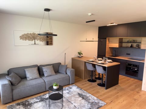 Apartment | 1 bedroom, Internet