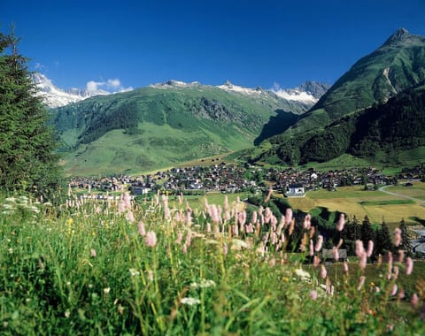 Land view from property