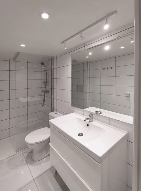 Deluxe Studio | Bathroom | Shower, free toiletries, hair dryer, towels