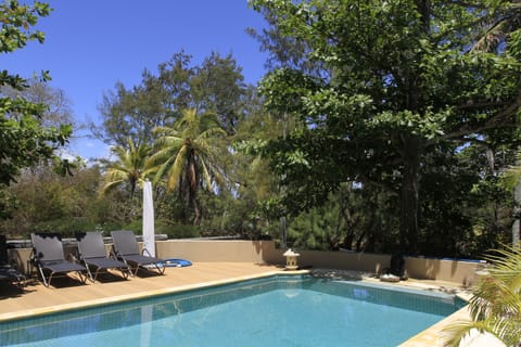 Outdoor pool, sun loungers