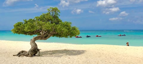 Beach nearby, white sand