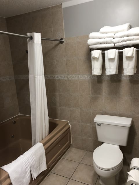 Combined shower/tub, eco-friendly toiletries, hair dryer, towels