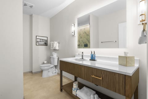 Standard Single Room, 1 King Bed with Sofa bed | Bathroom | Shower, hair dryer, towels, soap