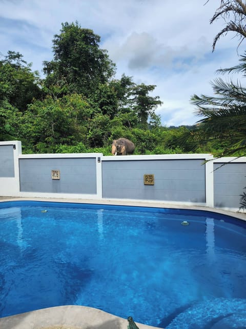 Villa, 4 Bedrooms, Smoking, Private Pool | Pool | Outdoor pool