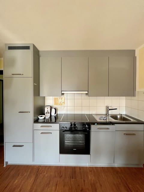 Studio, Balcony | Private kitchen | Full-size fridge, electric kettle, freezer, paper towels