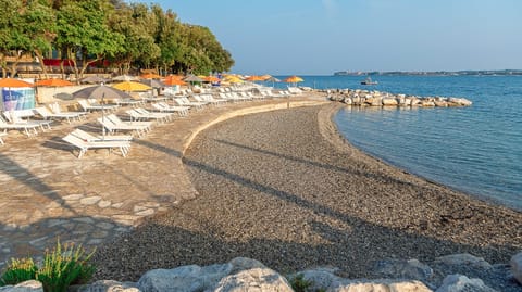 Beach nearby, beach volleyball, beach bar