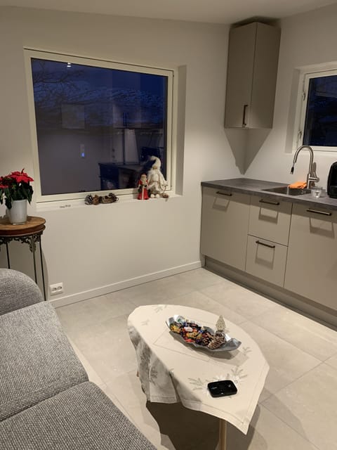 Basic Studio Suite, 1 Bedroom, Kitchen, Ocean View (Håkøyveien 151) | Living area | 60-inch TV with cable channels, heated floors