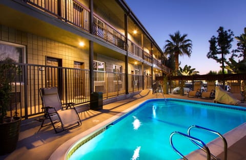 Outdoor pool, sun loungers