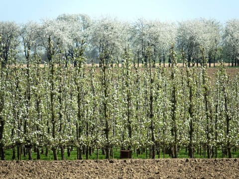 House | View from property