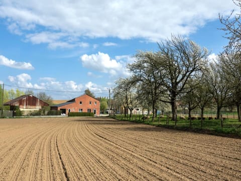 Apartment | View from property