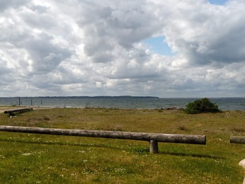 House | Miscellaneous