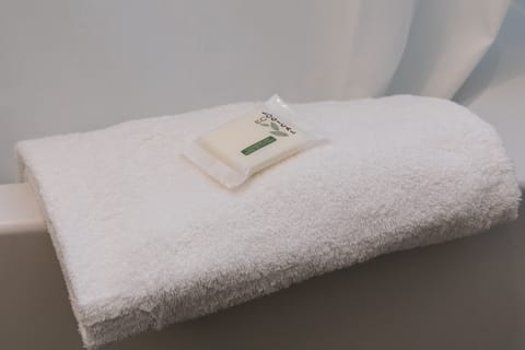 Combined shower/tub, eco-friendly toiletries, hair dryer, towels